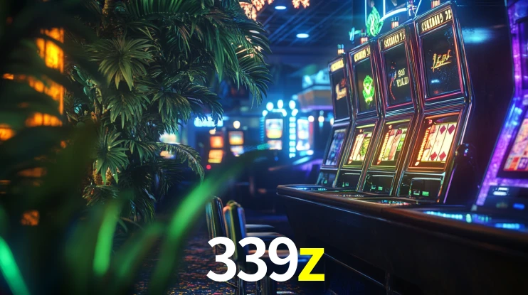 339z App Interface