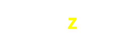 339z